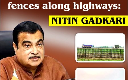 Govt to use bamboo-made ‘Bahu Balli’ fences along highways: Nitin Gadkari