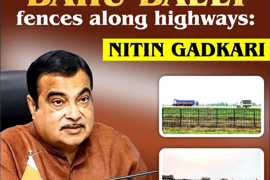 Govt to use bamboo-made ‘Bahu Balli’ fences along highways: Nitin Gadkari