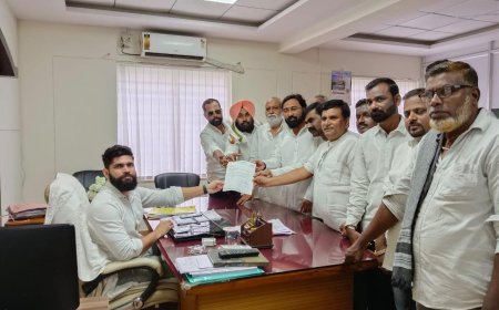 NCP's Atul Vandile raises distress call on 11 bridges connecting Hinganghat Taluka of Nagpur