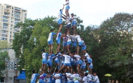 What do you think, should Gokulashtami be declared as public holiday?