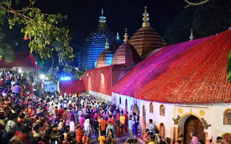 जो पहुचा माँ कामाख्या के द्वार, उसका हुआ बेडा पार!