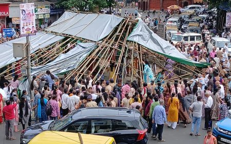दादर कबूतरखाना विवाद: जैन समाज का BMC के खिलाफ फूटा गुस्सा, कबूतरों की भूख पर सियासत गर्म"