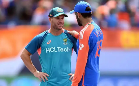 डेविड वॉर्नर ने विराट कोहली को पछाड़ा, टी20 क्रिकेट में पहुंचे टॉप-5 रन स्कोरर्स की लिस्ट में