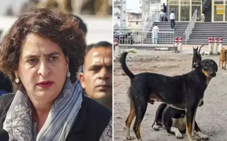 सुप्रीम कोर्ट के आवारा कुत्ते हटाने के आदेश पर प्रियंका गांधी और राहुल गांधी की कड़ी आपत्ति