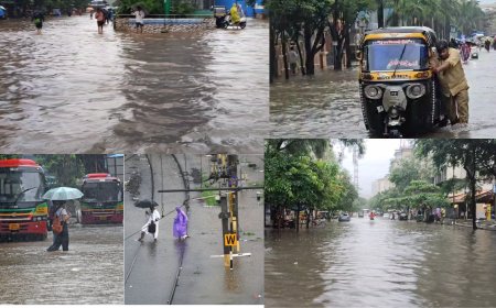 भारी बारिश से मिरा-भाईंदर जलमग्न, गौरव एवेन्यू, जीसीसी क्लब और क्वीन्‍स पार्क में पानी भरने से जनजीवन अस्त-व्यस्त, बस और लोकल सेवाएँ ठप