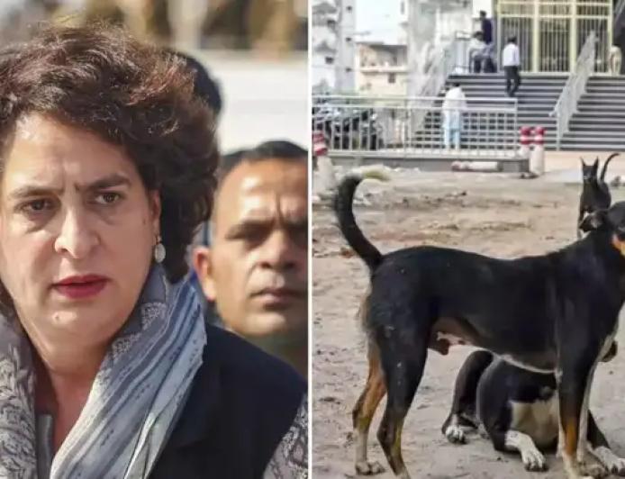 सुप्रीम कोर्ट के आवारा कुत्ते हटाने के आदेश पर प्रियंका गांधी और राहुल गांधी की कड़ी आपत्ति