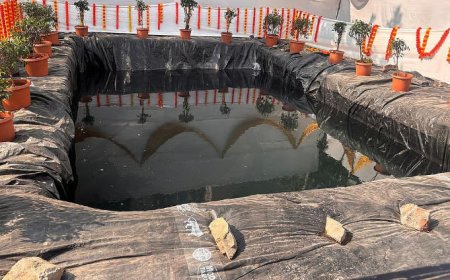 गणेशोत्सव में 290 कृत्रिम तालाब, विसर्जन के लिए लाखों लीटर पानी की खपत