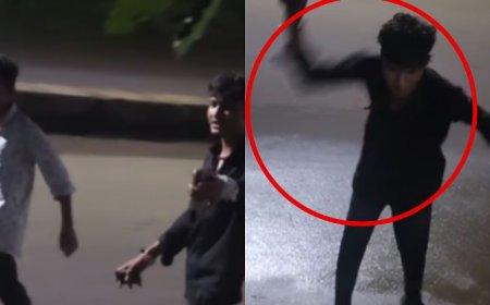 आधी रात का हैवानियत भरा खेल – नशे में धुत युवकों ने सड़क पर पिल्ले और कुत्तों पर बरसाई क्रूरता, महिला ने वीडियो में कैद किया पूरा वाक़या