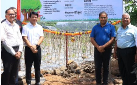 उत्तन डंपिंग ग्राउंड परिसर में लगाया गया 8,600 पौधों का मियावाकी फॉरेस्ट