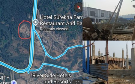 मिरा-भाईंदर में कांदळवन की कटाई का आरोप, शिवसेना के बड़े नेता पर अवैध भराव और निर्माण का दावा