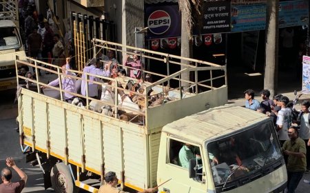 Bakra Eid Ahead: Maharashtra Govt Orders Crackdown on Illegal Cow Transportation and Slaughter