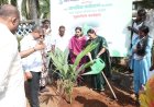 Mira-Bhayandar Municipal Corporation Organizes Tree Plantation Drive on World Environment Day