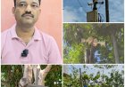 पेंकरपाड़ा के 19 CCTV कैमरे बंद, 10 लाख की सुरक्षा व्यवस्था ठप; नागरिकों में नाराजगी