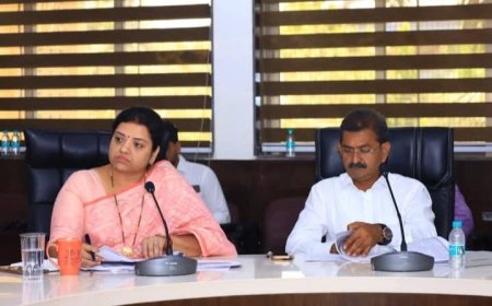 Mira-Bhayandar Civic Body Reviews Anti-Mosquito Spraying Drive Ahead of Monsoon
