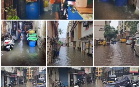मूसलाधार बारिश से मिरा-भाईंदर बेहाल; भाईंदर पूर्व के कई इलाके जलमग्न, घरों में घुसा पानी