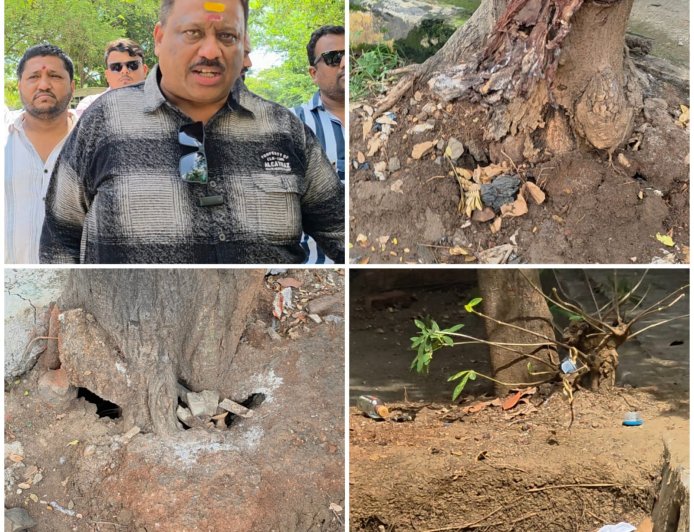 MNS Slams MBMC’s Environment Day Tree Plantation Drive, Calls It a ‘Photo Opportunity