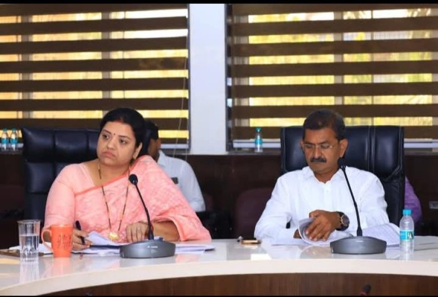 Mira-Bhayandar Civic Body Reviews Anti-Mosquito Spraying Drive Ahead of Monsoon