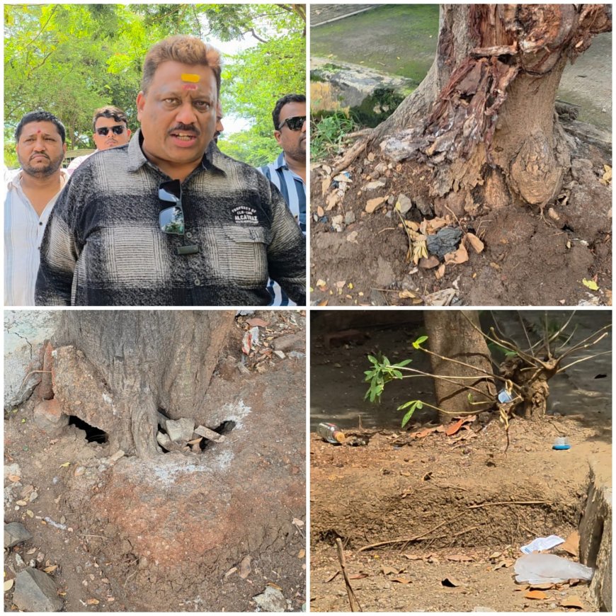 MNS Slams MBMC’s Environment Day Tree Plantation Drive, Calls It a ‘Photo Opportunity