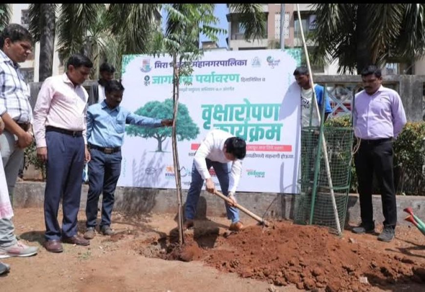 Mira-Bhayandar Municipal Corporation Organizes Tree Plantation Drive on World Environment Day