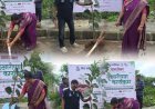 मीरा-भाईंदर के वार्ड 1 में 200 पौधों का रोपण, 25 हजार और पेड़ लगाने का संकल्प