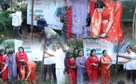 महापौर डिंपल मेहता का जन्मदिन सेवा दिवस के रूप में मनाया गया, 25 हजार पौधारोपण से लेकर डिजिटल सेवाओं तक कई योजनाओं की शुरुआत