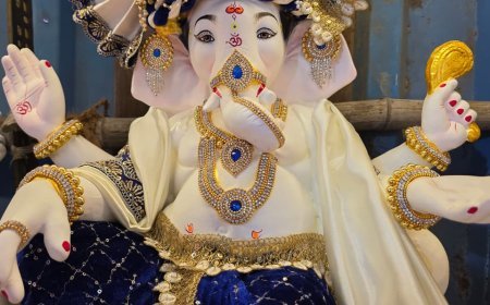 मीरा-भाईंदर महानगरपालिका की नई डिजिटल सुविधा, अब गणेश मंडप NOC और जन्म प्रमाणपत्र के लिए ऑनलाइन आवेदन