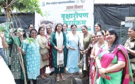 मीरा-भाईंदर में वन महोत्सव के तहत वृक्षारोपण कार्यक्रम, 25 हजार पौधे लगाने का संकल्प