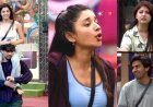 Bigg Boss 20 में मचेगा घमासान! अरिशफा खान और कनिका मान के बीच होगी तीखी नोकझोंक