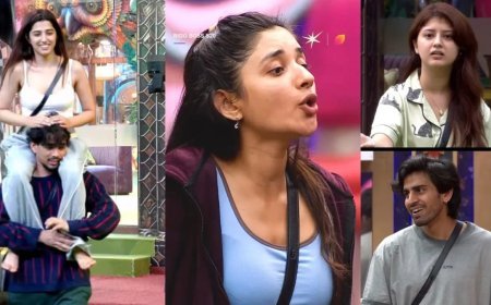 Bigg Boss 20 में मचेगा घमासान! अरिशफा खान और कनिका मान के बीच होगी तीखी नोकझोंक
