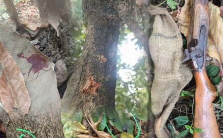 मीरा-भाईंदर के चेना गांव के जंगल में शिकार के दौरान गोली लगने से मनपा कर्मचारी की मौत, डॉक्टर समेत 6 गिरफ्तार!