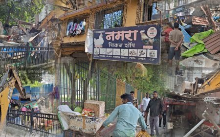 मीरा रोड में अवैध चिकन-मटन दुकानों पर MBMC की कार्रवाई, 16 दुकानों के शेड तोड़े गए